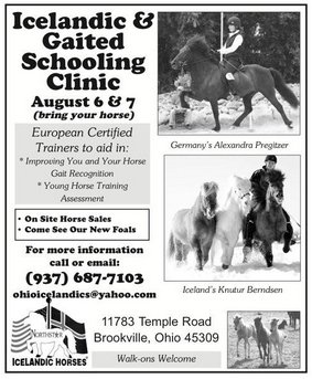 Icelandic Gaited Clinic