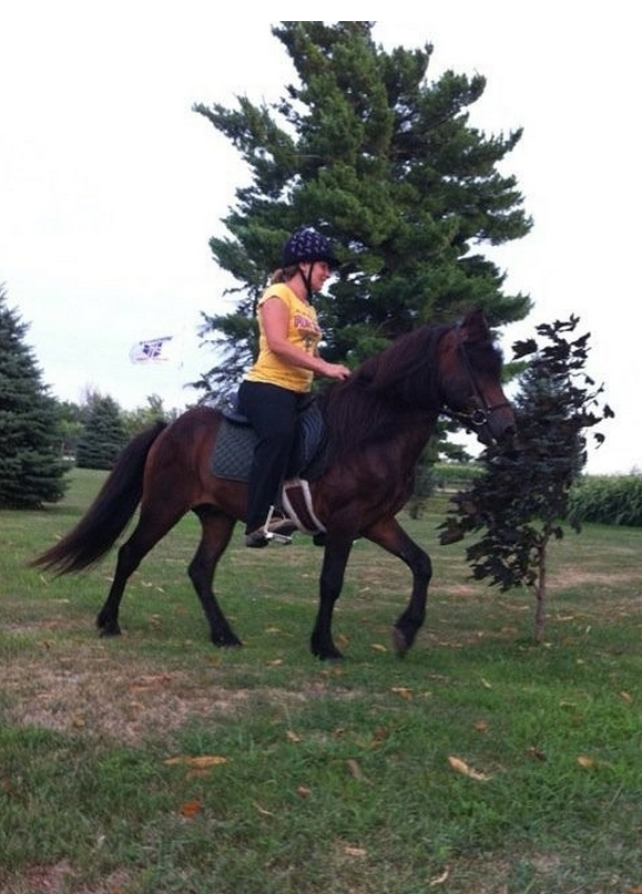 Icelandic Gaited Clinic