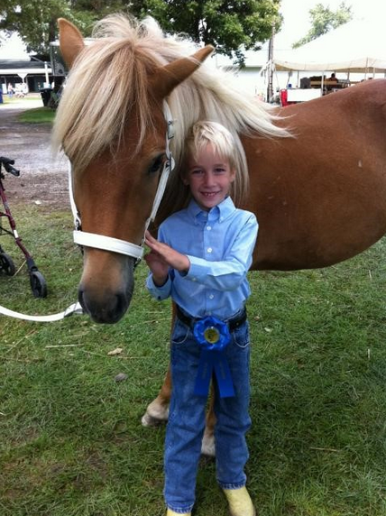 Icelandic Gaited Clinic